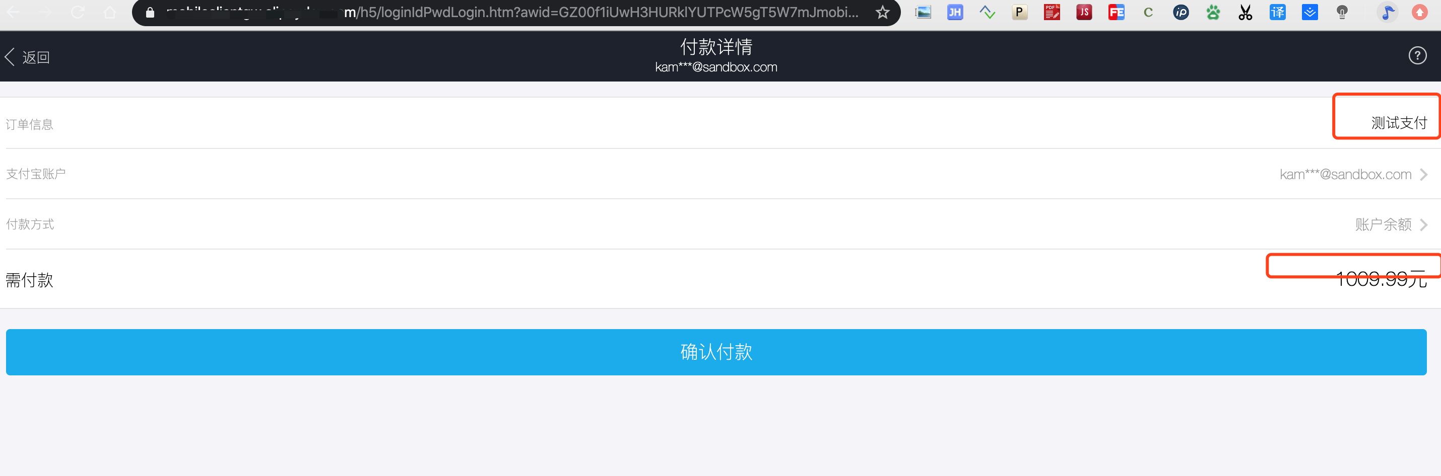 支付页面