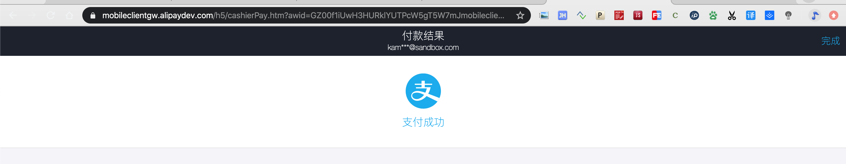 支付成功